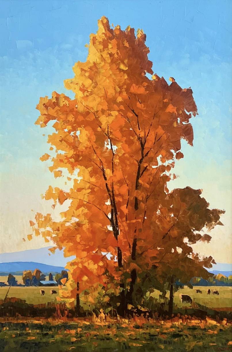 Portrait of a Poplar with Sheep