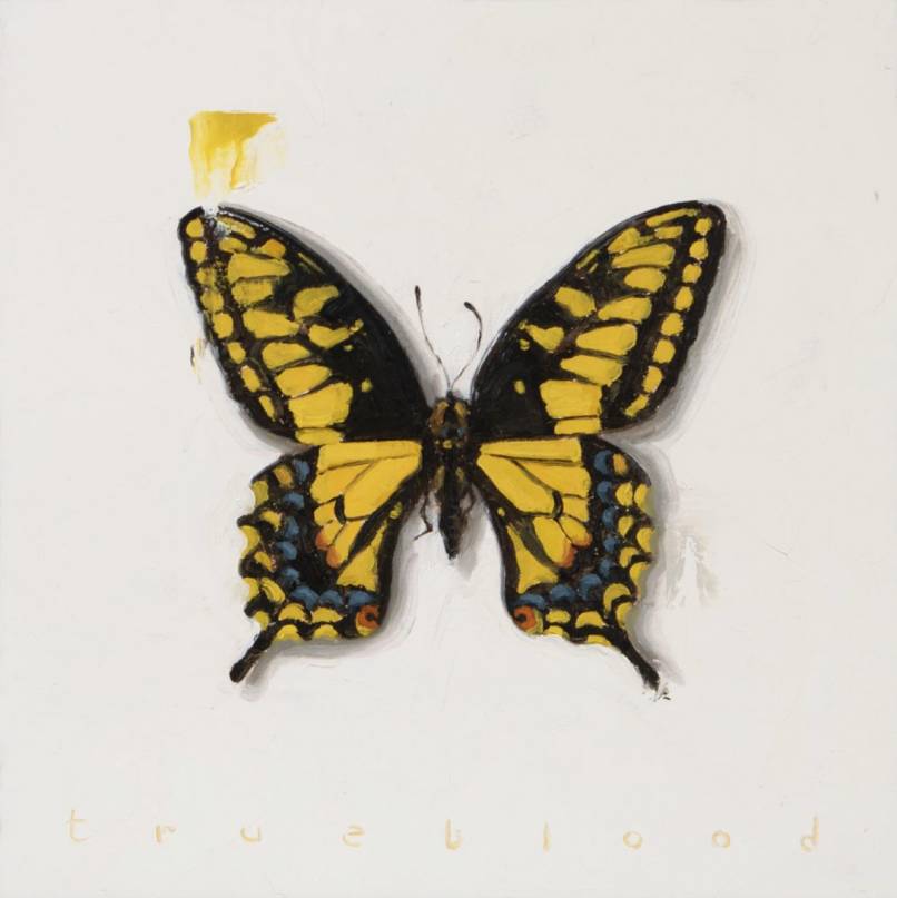 Becoming (Anise Swallowtail)