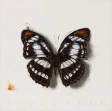 Becoming (Athyma)
