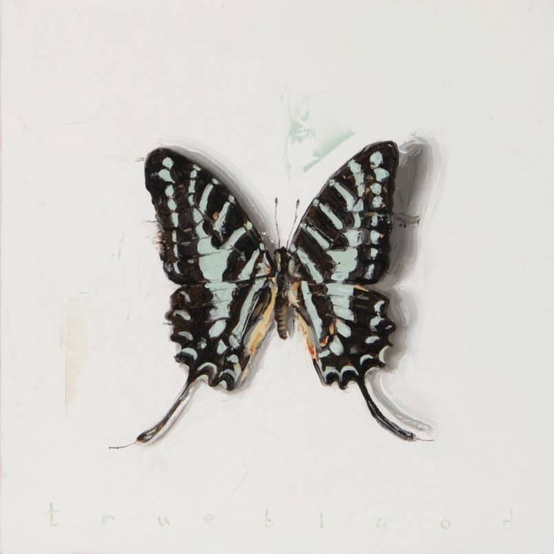 Becoming (Celadon Swallowtail)