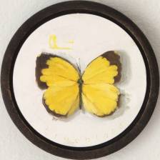 Becoming (Little Yellow)