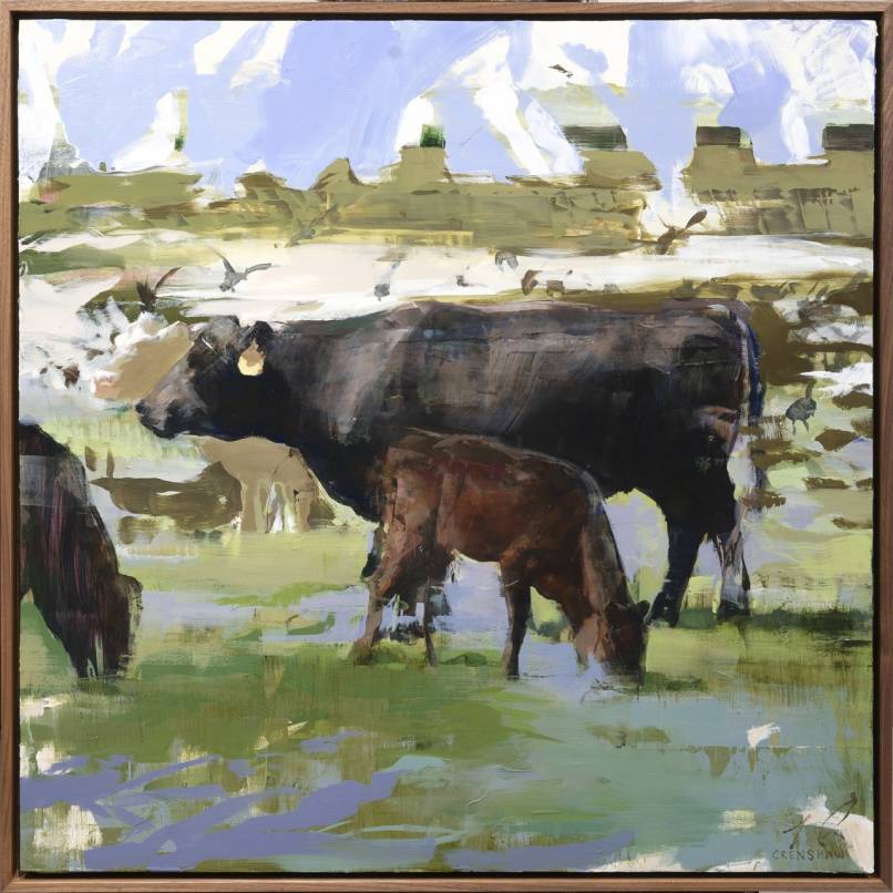 Westfield Angus