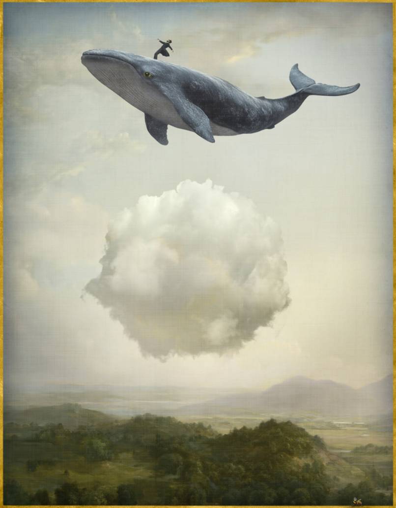 A More Rational Day Than the Last