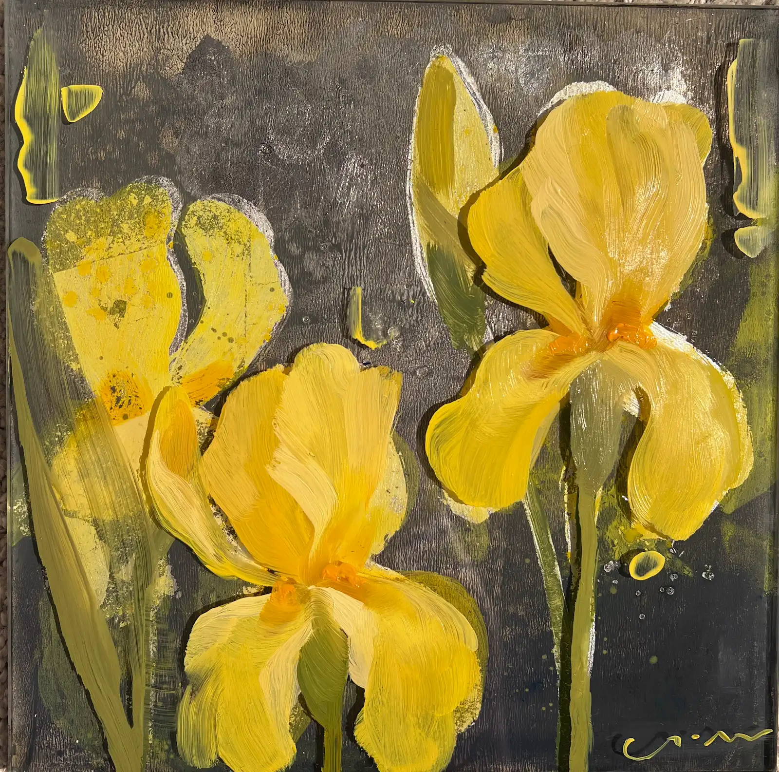 Iris Garden