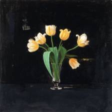 Quiet Blooms