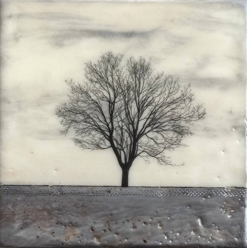 A Little Grey