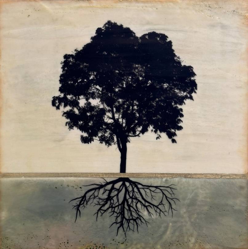 Are You Rooted