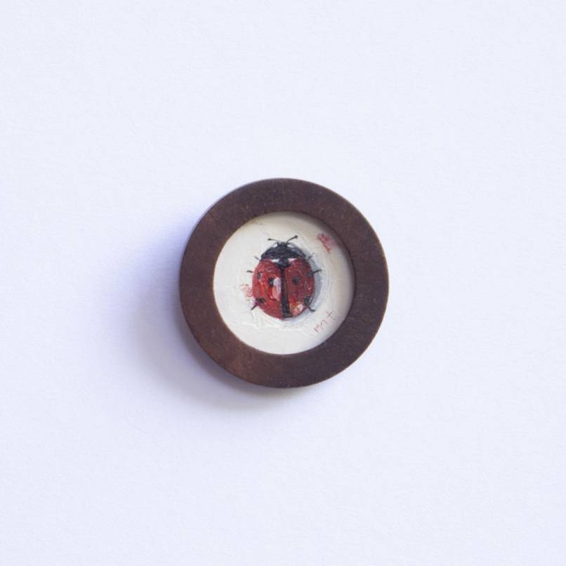 Ladybug I