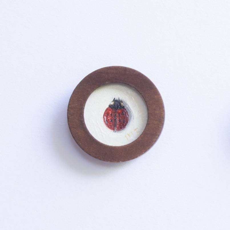 Ladybug II
