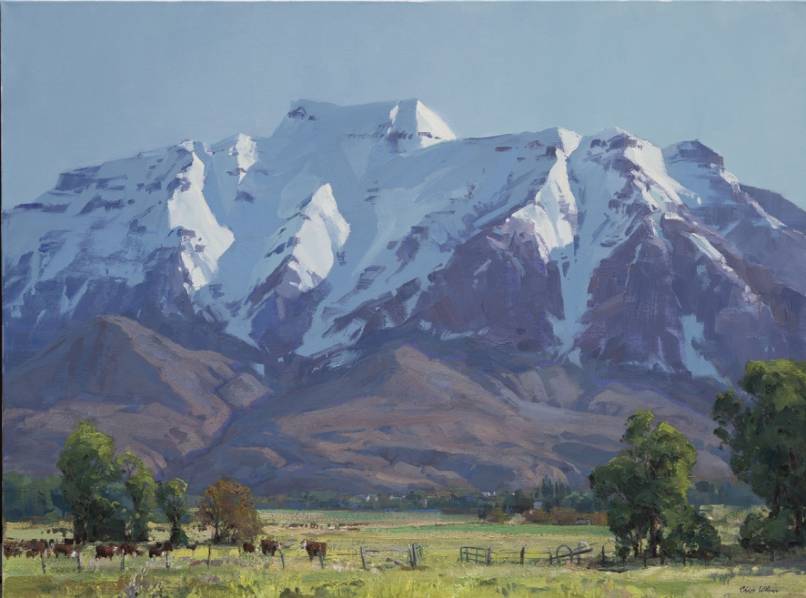 Timp in the Spring