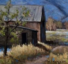 First Signs of Spring