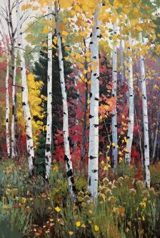 Forest and the Trees