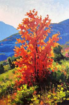 Mountain Flare