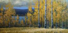 Aspen Gold