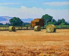 Bales in the Sun