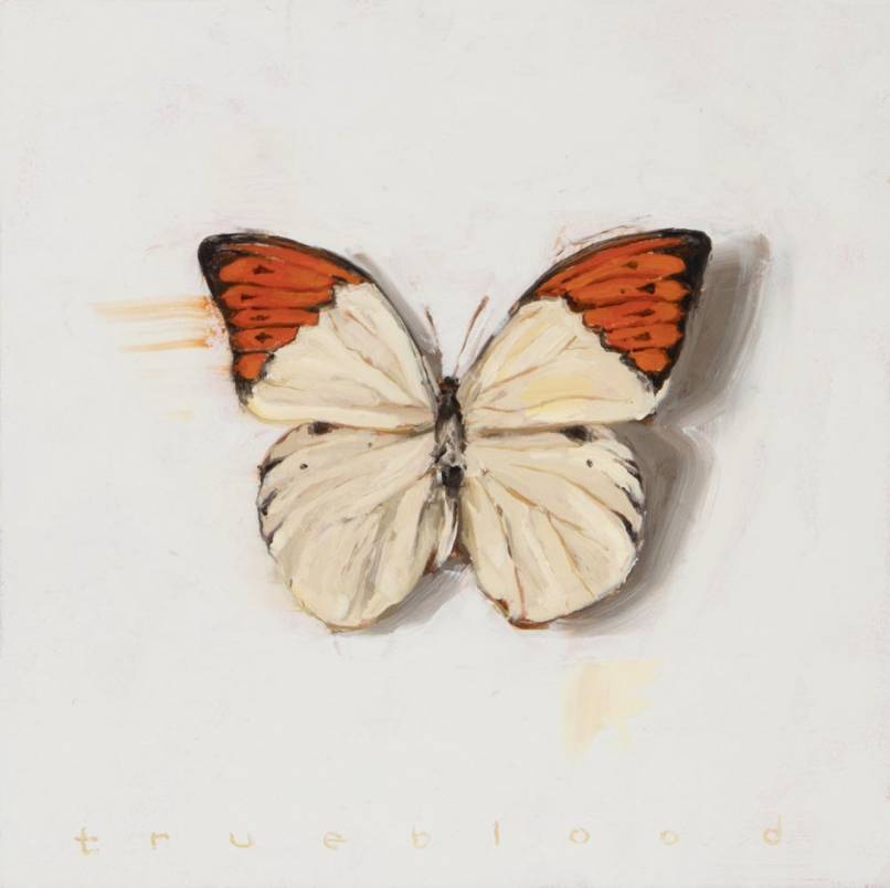 Becoming (Great Orange Tip)