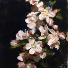 Mark Crenshaw - Cascade
