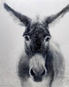 Dreamy Day Donkey