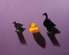 Nevins - Duck, Duck, Goose