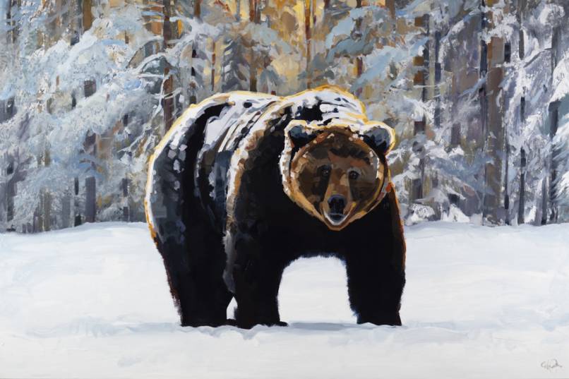 Early Morning with Mother Nature