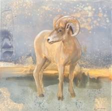 Gilded Bighorn Sheep