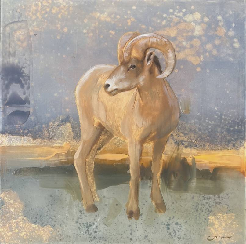 Gilded Bighorn Sheep