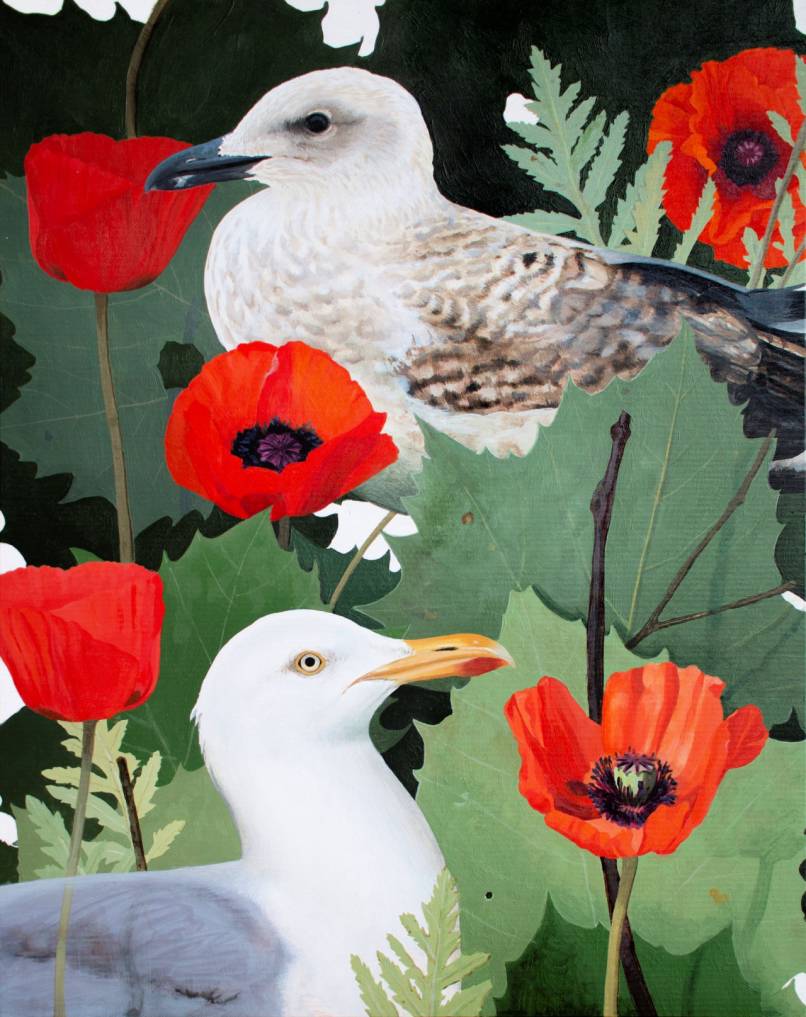 Gulls in Oriental Poppy