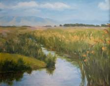 Spring in The Wetlands