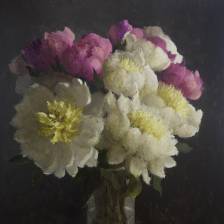 Peonies