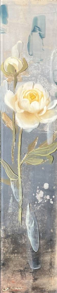Peony on Blue