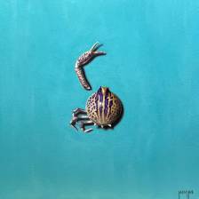Patrick Nevins - Purse Crab