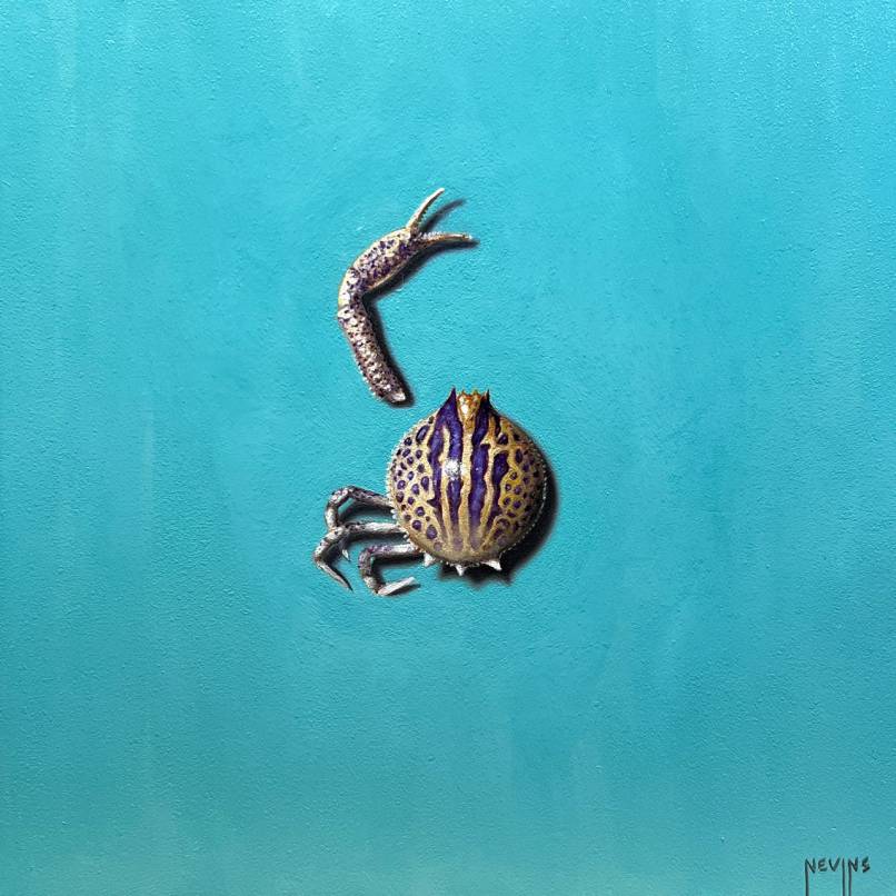 Patrick Nevins - Purse Crab
