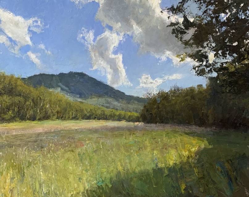 Summer Meadow