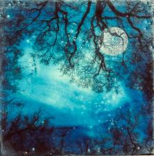 Beneath the Quiet Moon