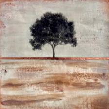 Earth Remembered
