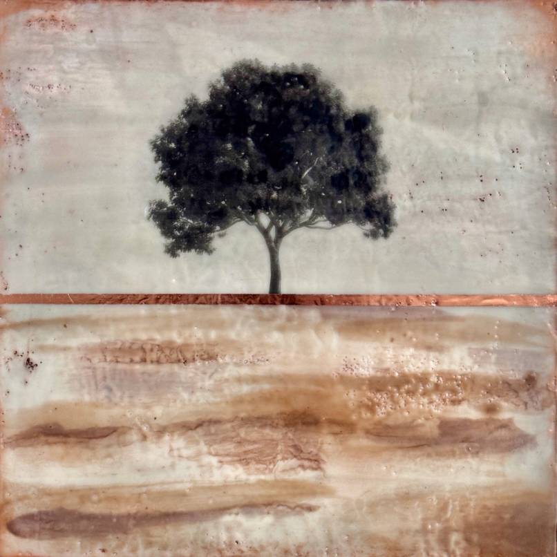 Earth Remembered