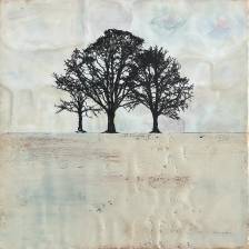 Growth from the Past