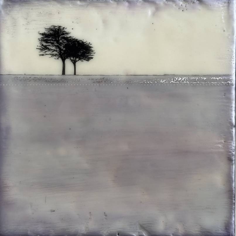 Lavender Blue