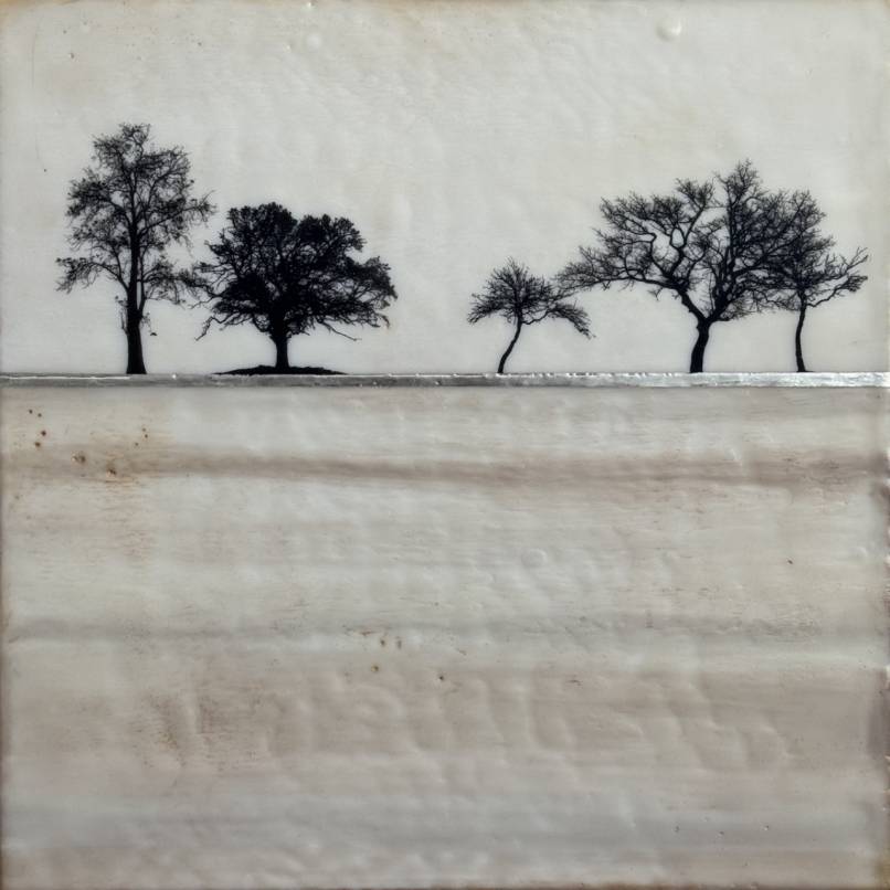 Lined Earth
