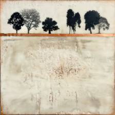 Luminous Stillness