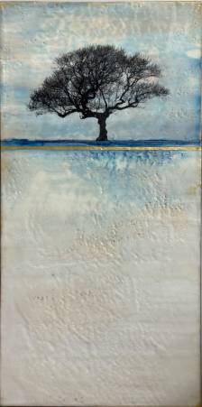 My Solitude