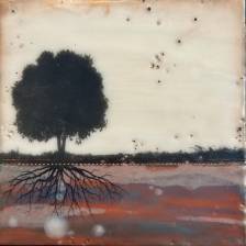 Rooted in Light