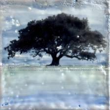 Still Waters, Dark Sky