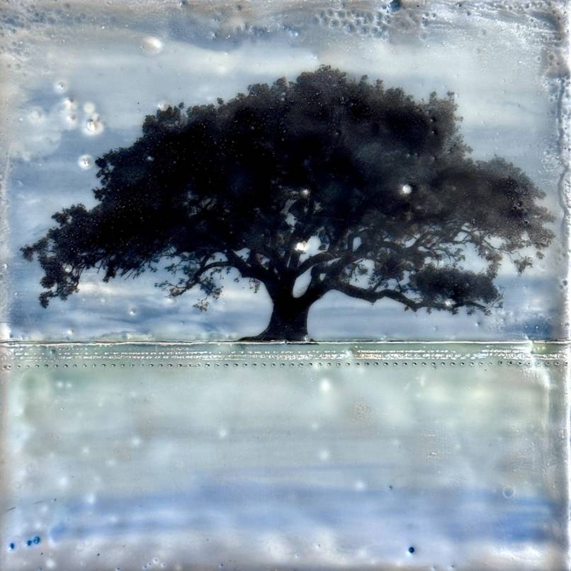 Still Waters, Dark Sky