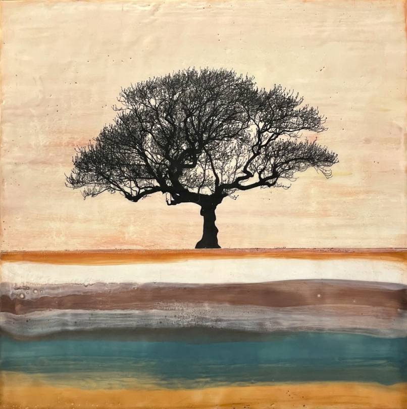 Terra Calda