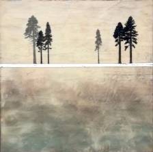 The Last Meadow