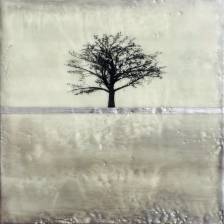 The Long Quiet