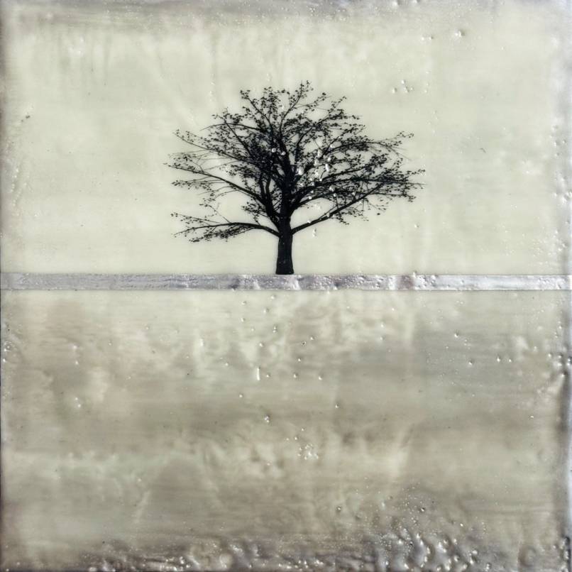 The Long Quiet