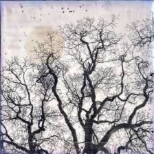 Winters Breath