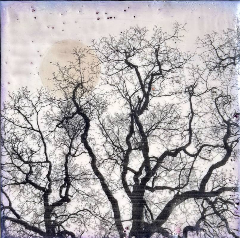 Winters Breath